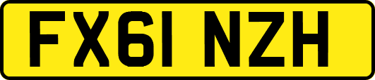 FX61NZH