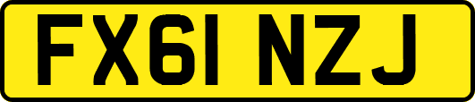 FX61NZJ