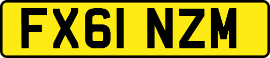 FX61NZM