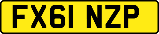 FX61NZP