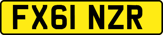 FX61NZR