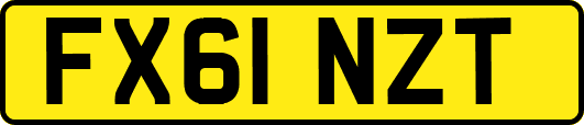 FX61NZT