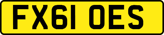 FX61OES