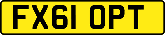 FX61OPT
