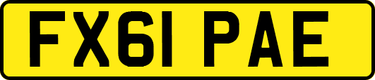 FX61PAE
