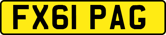 FX61PAG