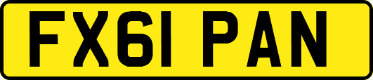 FX61PAN