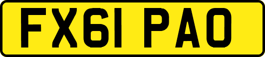 FX61PAO