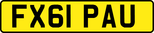 FX61PAU