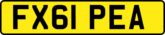 FX61PEA