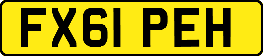 FX61PEH