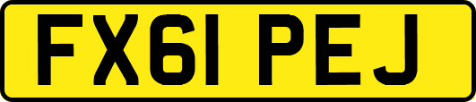 FX61PEJ