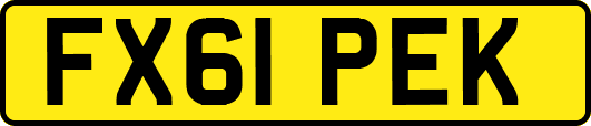 FX61PEK