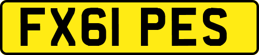 FX61PES