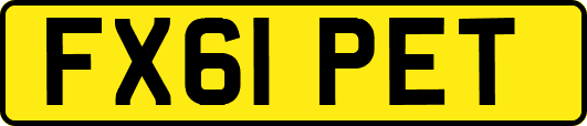 FX61PET
