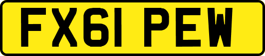 FX61PEW