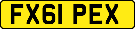 FX61PEX