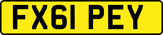FX61PEY