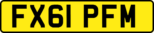 FX61PFM