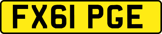 FX61PGE