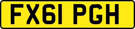 FX61PGH