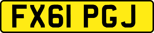 FX61PGJ