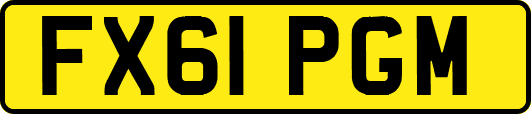 FX61PGM
