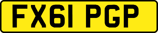 FX61PGP