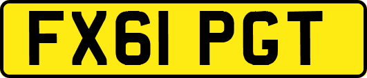 FX61PGT