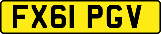 FX61PGV