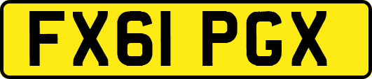 FX61PGX