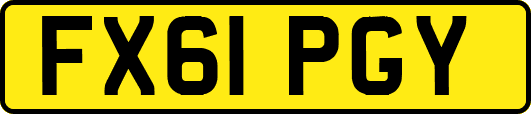 FX61PGY