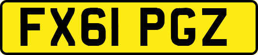 FX61PGZ