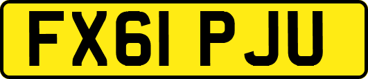 FX61PJU