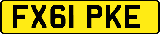 FX61PKE