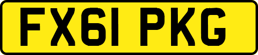 FX61PKG