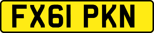 FX61PKN