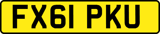 FX61PKU