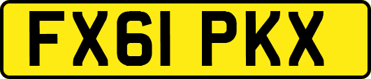 FX61PKX