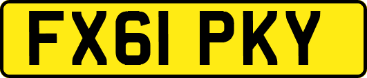 FX61PKY