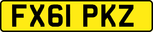 FX61PKZ