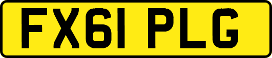 FX61PLG