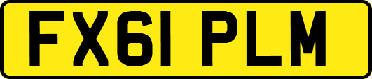 FX61PLM
