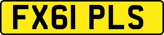 FX61PLS