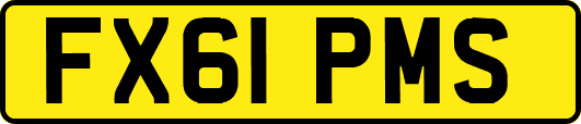 FX61PMS