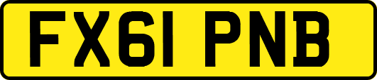 FX61PNB