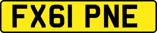 FX61PNE