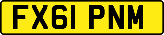 FX61PNM