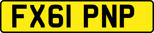 FX61PNP