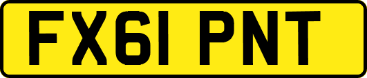 FX61PNT